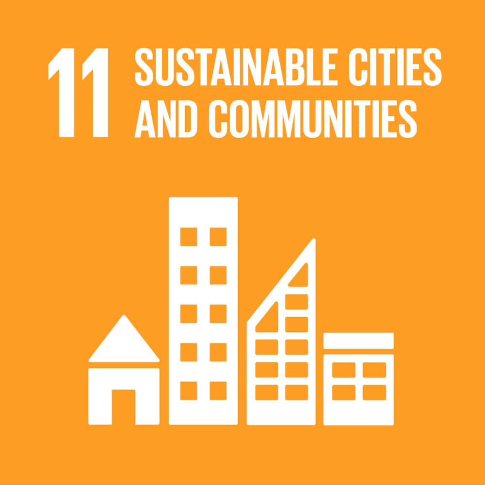 sustainable development Goal 11 e-motion bewegt